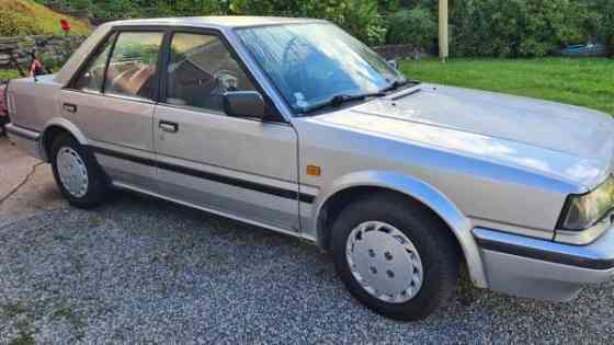 Nissan Bluebird Turtkul