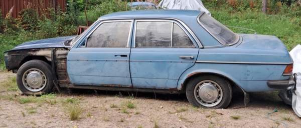 Mercedes-Benz 240 Luga - valokuva 1