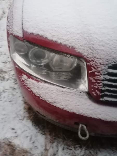 Audi A4 Lieksa - valokuva 8