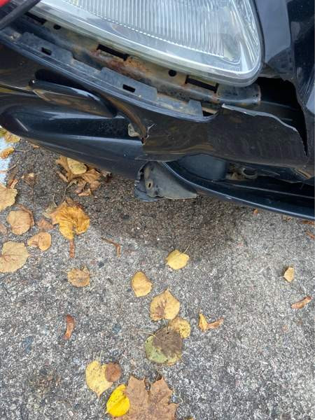 Honda Civic Turtkul - valokuva 4