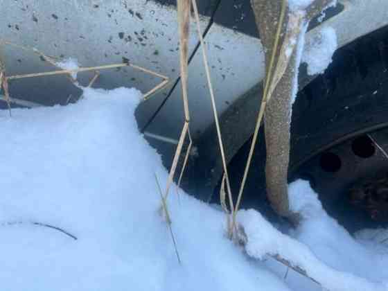 Volkswagen Golf Lieksa