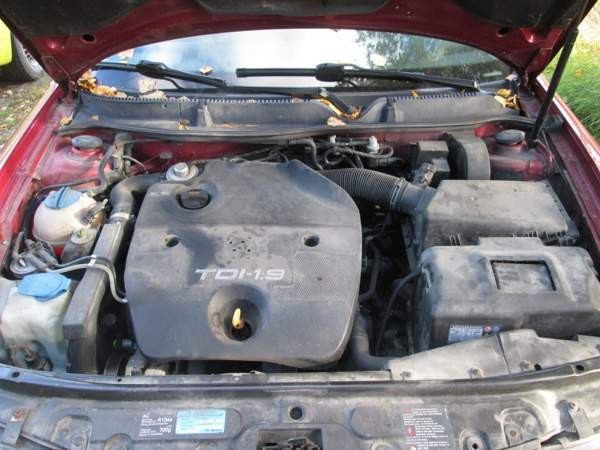 Seat Leon Uurainen - valokuva 5