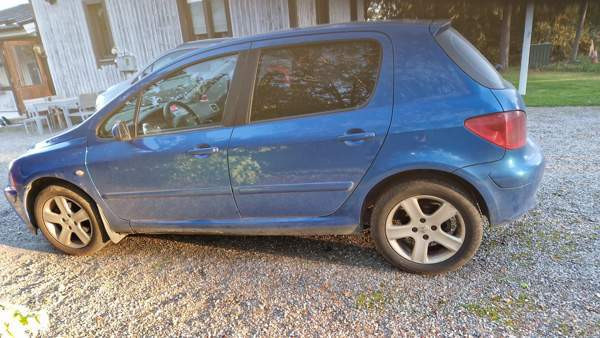 Peugeot 307 Vehmaa - valokuva 2
