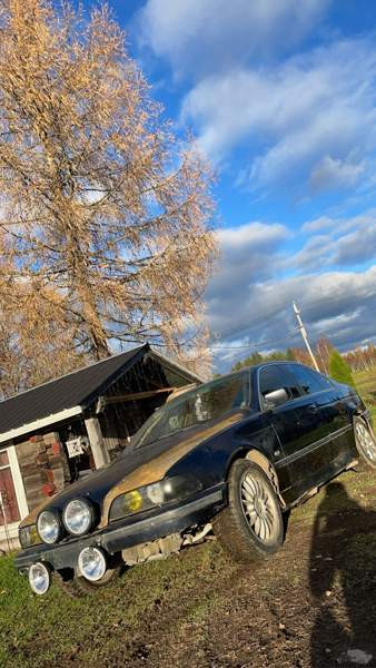 BMW 525 Чувашия - изображение 1