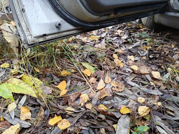 Subaru Forester Lieksa - valokuva 7