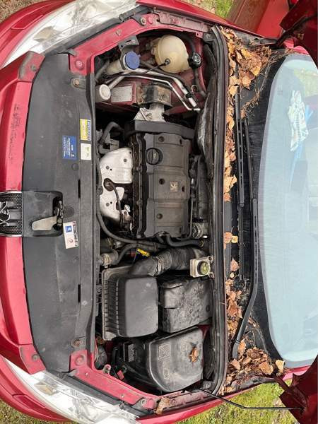 Peugeot 307 Lovisa – foto 6