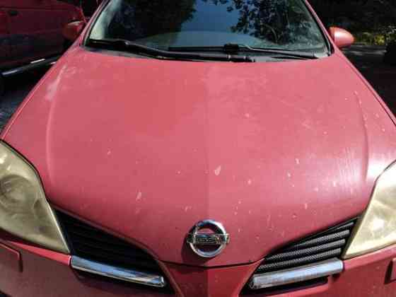 Nissan Primera Pyhäranta