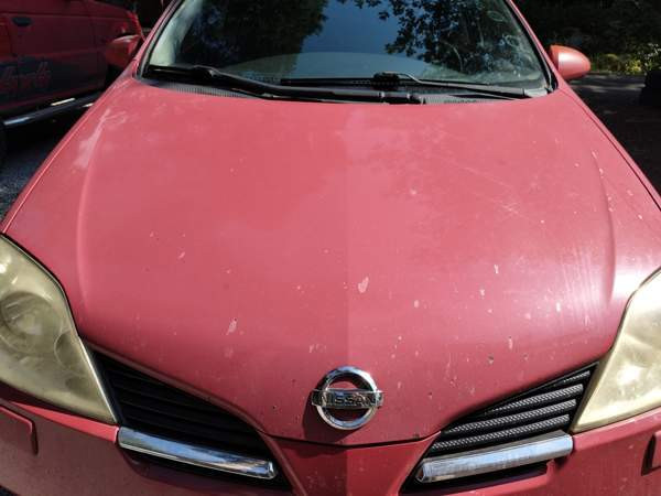 Nissan Primera Pyhäranta - изображение 4