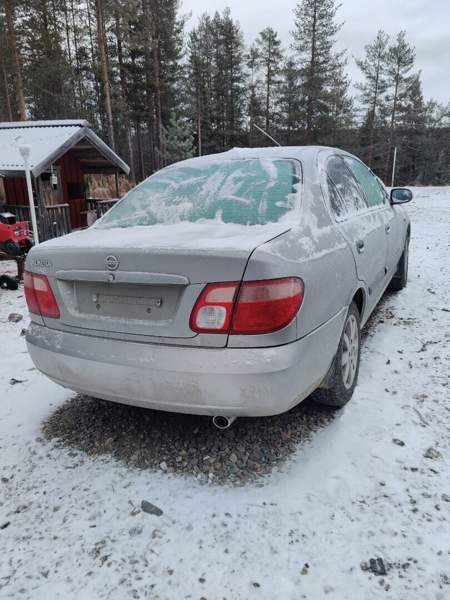 Nissan Almera Kolari - photo 5