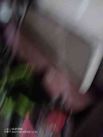 Opel Rekord Zaporiz'ka Oblast'