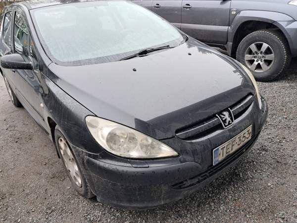 Peugeot 307 Nokia - photo 3