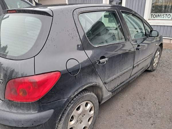 Peugeot 307 Nokia - photo 6