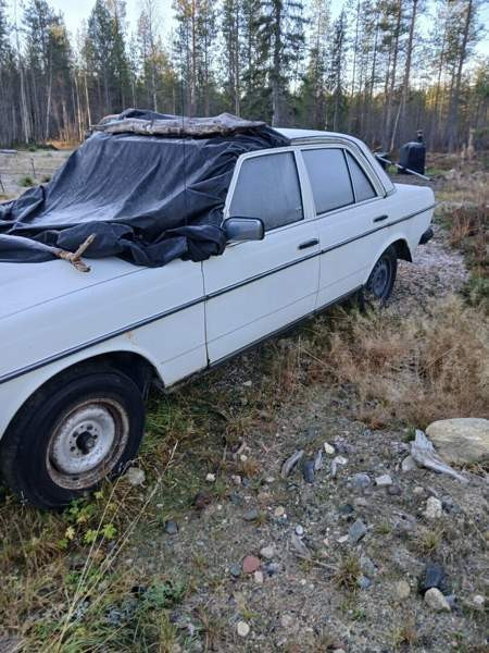 Mercedes-Benz 200 Кифри - изображение 2