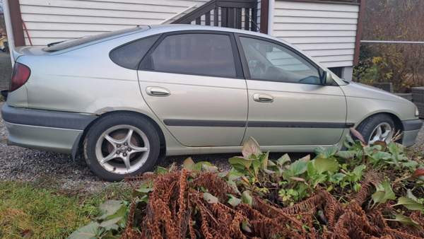 Toyota Avensis Raasepori - valokuva 2