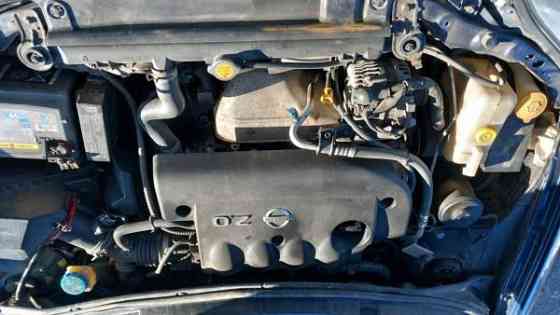 Nissan Primera Лемпяаля