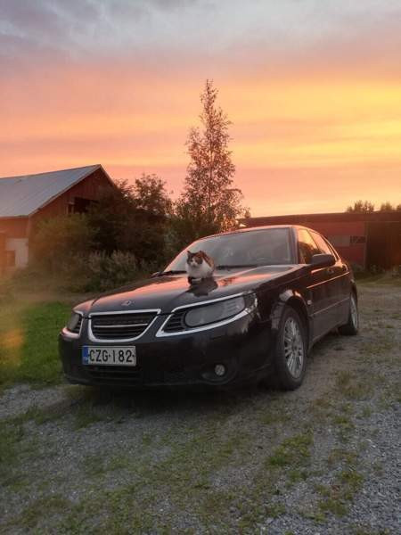 Saab 9-5 Kitee – foto 1