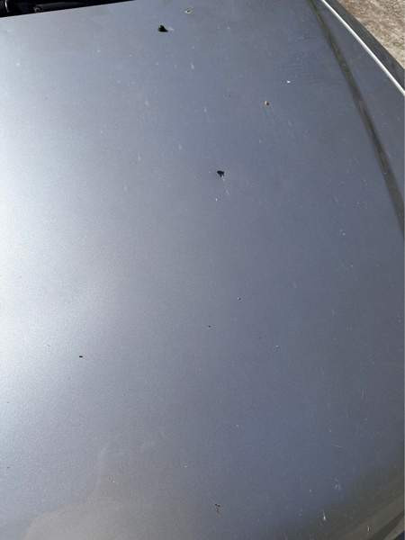 Peugeot 306 Paimio - valokuva 8