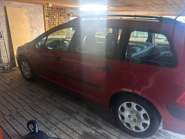 Peugeot 307 Углеуральский - изображение 3