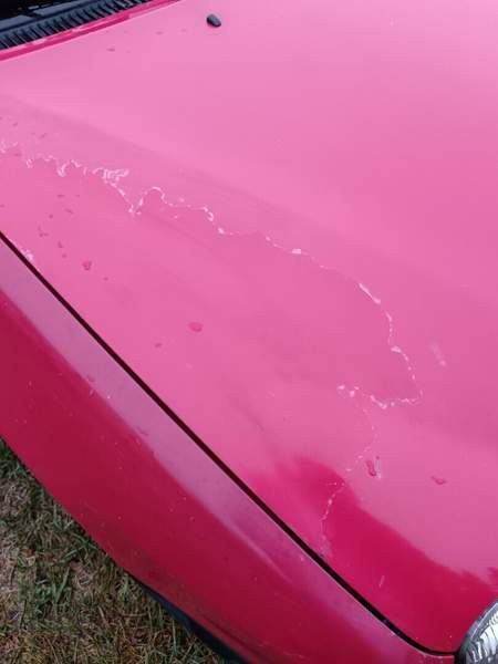 Toyota Corolla Saarijärvi - изображение 5