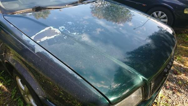 Audi Coupe Sarov - valokuva 8