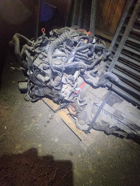 Audi A6 Raasepori - valokuva 4