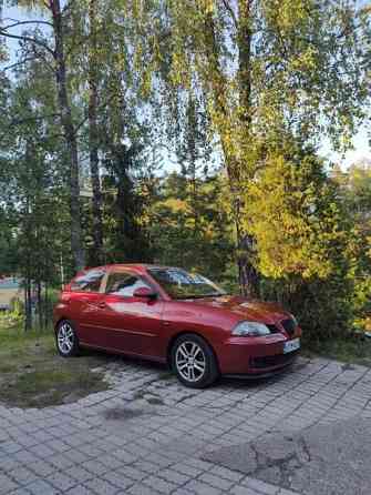 Seat Ibiza Raasepori