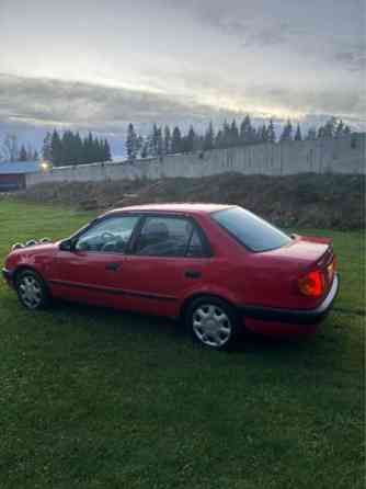 Toyota Corolla Honkajoki