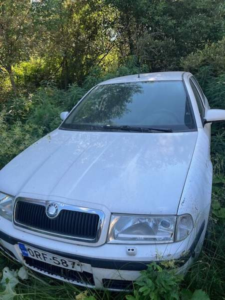 Skoda Octavia Каяни - изображение 1