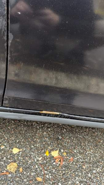 Volkswagen Golf Turtkul - valokuva 8