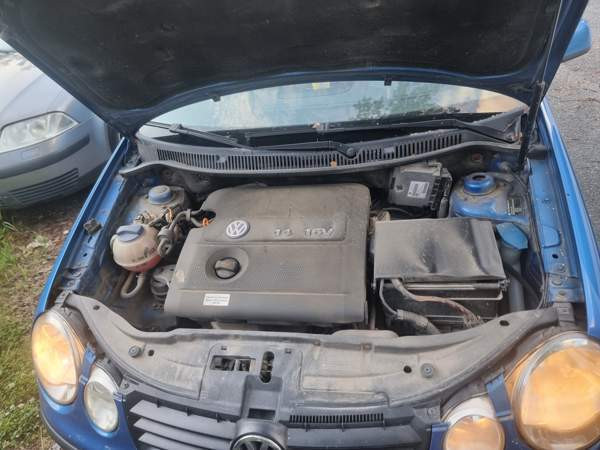 Volkswagen Polo Lieto – foto 8