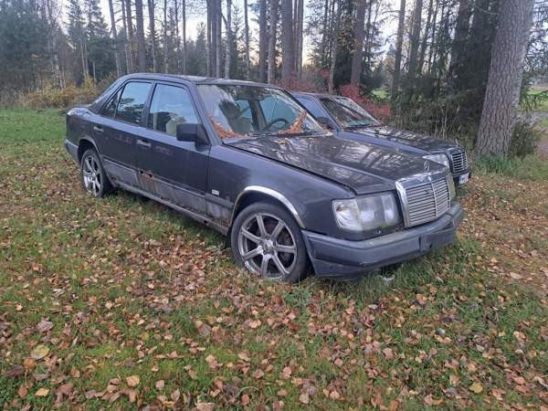 Mercedes-Benz 300 Merikarvia - изображение 1