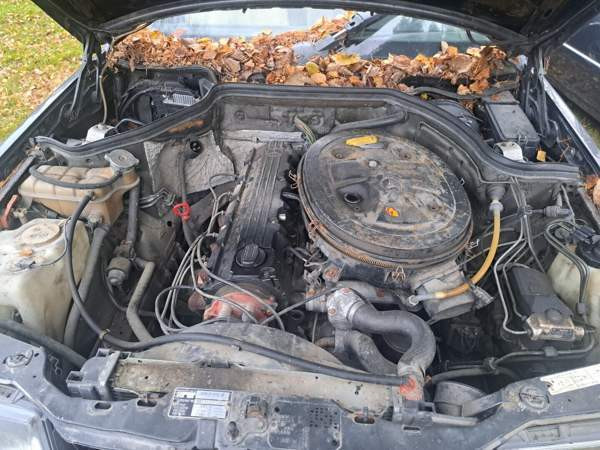 Mercedes-Benz 300 Merikarvia - изображение 3