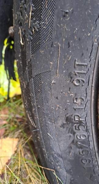 Volkswagen Golf Luga - valokuva 5