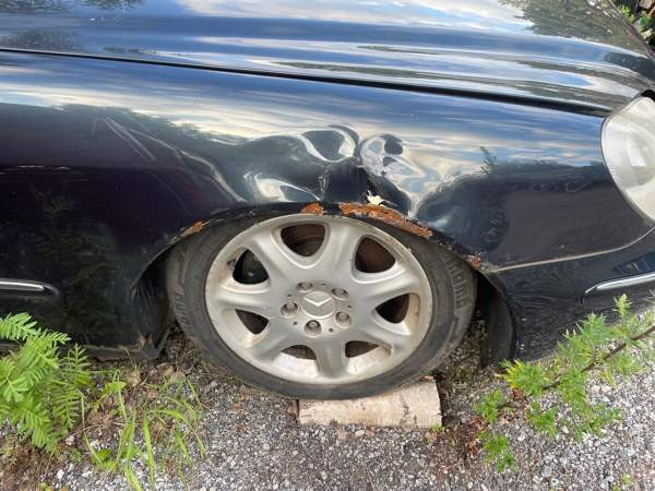 Mercedes-Benz S Turtkul - valokuva 4